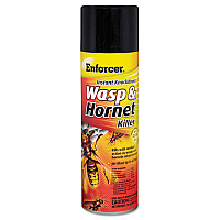Enforcer Wasp and Hornet Killer IIb, 16 oz Aerosol, 12/Carton (EWHIK16)