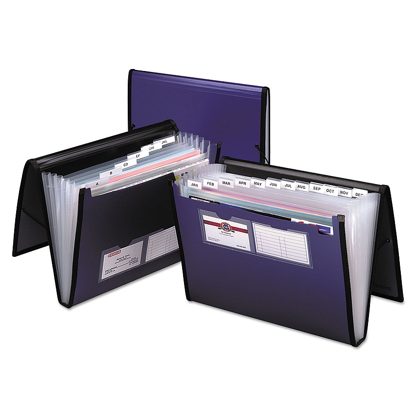 Pendaflex Professional Expanding Organizer, 7 Sections, Elastic Cord Closure, 1/6-Cut Tabs, Letter Size, Blue (52670)