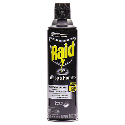 Raid Wasp and Hornet Killer, 14 oz Aerosol (668006)