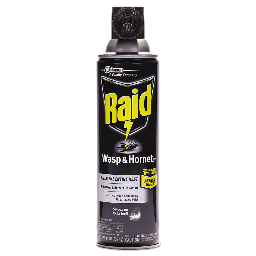 Raid Wasp and Hornet Killer, 14 oz Aerosol (668006)