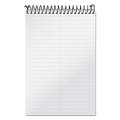 TOPS Docket Gold Steno Pads, Gregg Rule, Frosted White Cover, 100 White (Heavyweight 20 lb Bond) 6 x 9 Sheets (99708)