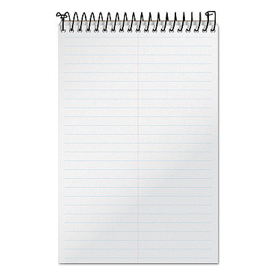 TOPS Docket Gold Steno Pads, Gregg Rule, Frosted White Cover, 100 White (Heavyweight 20 lb Bond) 6 x 9 Sheets (99708)