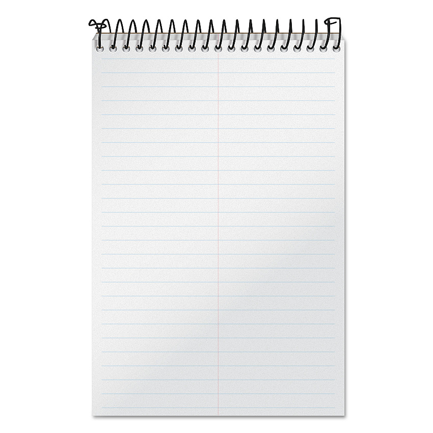 TOPS Docket Gold Steno Pads, Gregg Rule, Frosted White Cover, 100 White (Heavyweight 20 lb Bond) 6 x 9 Sheets (99708)