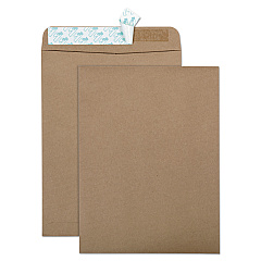 Quality Park 100% Recycled Brown Kraft Redi-Strip Envelope, #10 1/2, Cheese Blade Flap, Redi-Strip Closure, 9 x 12, Brown Kraft, 100/Box (44511)