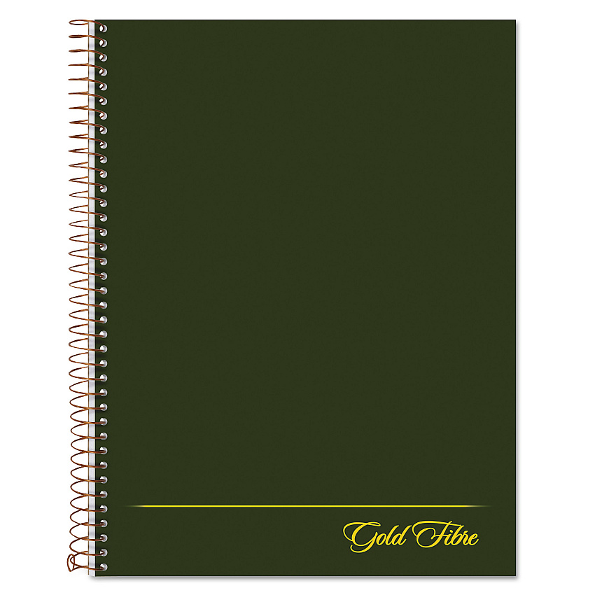 Ampad Gold Fibre Wirebound Project Notes Book, 1 Subject, Project-Management Format, Green Cover, 9.5 x 7.25, 84 Sheets (20816)