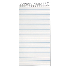 Earthwise by Ampad Recycled Reporter's Notepad, Gregg Rule, White Cover, 70 White 4 x 8 Sheets (25280)