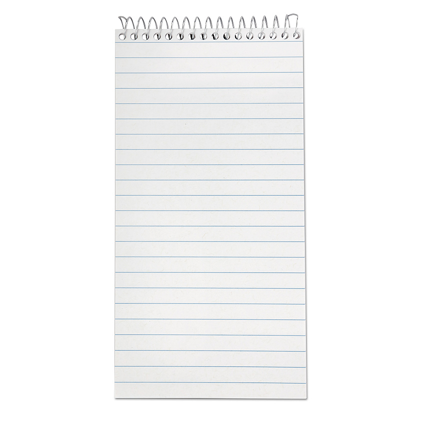 Earthwise by Ampad Recycled Reporter's Notepad, Gregg Rule, White Cover, 70 White 4 x 8 Sheets (25280)
