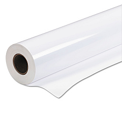 Epson S041391 Premium Glossy Photo Paper