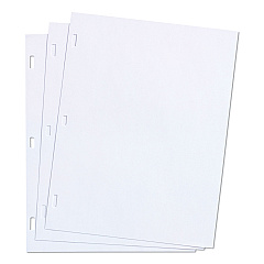 Wilson Jones Ledger Sheets for Corporation and Minute Book, 11 x 8.5, White, Loose Sheet, 100/Box (90310)