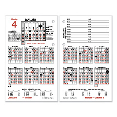 AT-A-GLANCE Burkhart's Day Counter Desk Calendar Refill, 4.5 x 7.38, White Sheets, 2023 (E71250)