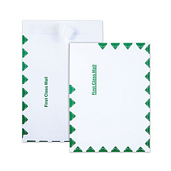 Quality Park Ship-Lite Envelope, #10 1/2, Cheese Blade Flap, Redi-Strip Closure, 9 x 12, White, 100/Box (S3615)