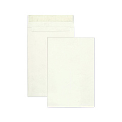 Survivor Open End Expansion Mailers, Lightweight Tyvek, #15 1/2, Flip-Stik Flap, Redi-Strip Closure, 12 x 16, White, 100/Carton (R4520)
