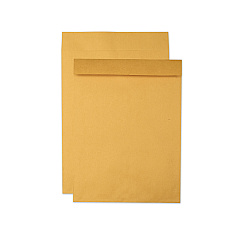 Quality Park Jumbo Size Kraft Envelope, Fold Flap Closure, 15 x 20, Brown Kraft, 25/Pack (42355)