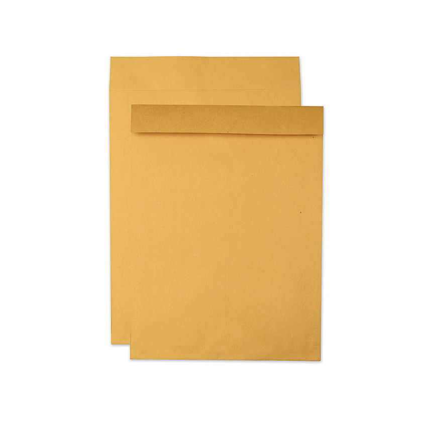 Quality Park Jumbo Size Kraft Envelope, Fold Flap Closure, 15 x 20, Brown Kraft, 25/Pack (42355)
