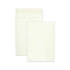 Survivor Open End Expansion Mailers, Lightweight Tyvek, #15 1/2, Cheese Blade Flap, Redi-Strip Closure, 12 x 16, White, 25/Box (R4292)