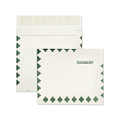 Survivor Open Side Expansion Mailers, First Class, Lightweight Tyvek, #13 1/2, Square Flap, Redi-Strip Closure, 10 x 13, White, 100/CT (R4620)