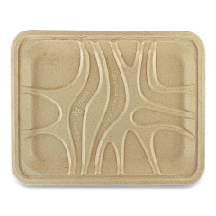 World Centric Fiber Trays, 1-Compartment, 9.1 x 7.1 x 0.7, Natural, 500/Carton (TRSC4S)