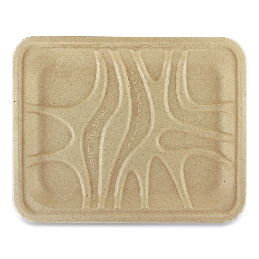 World Centric Fiber Trays, 1-Compartment, 9.1 x 7.1 x 0.7, Natural, 500/Carton (TRSC4S)
