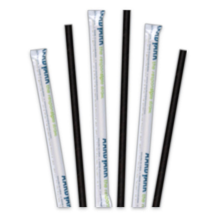 Hoffmaster Aardvark Paper Straws, 5.75", Black, 3,200/Carton (61612099)