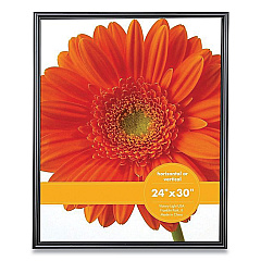 Victory Light Plastic Poster Frame, 24 x 30 Insert, Black (VF0023B2430)