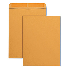 Quality Park Catalog Envelope, #13 1/2, Square Flap, Gummed Closure, 10 x 13, Brown Kraft, 250/Box (41665)