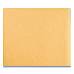 Quality Park Clasp Envelope, #95, Square Flap, Clasp/Gummed Closure, 10 x 12, Brown Kraft, 100/Box (37895)