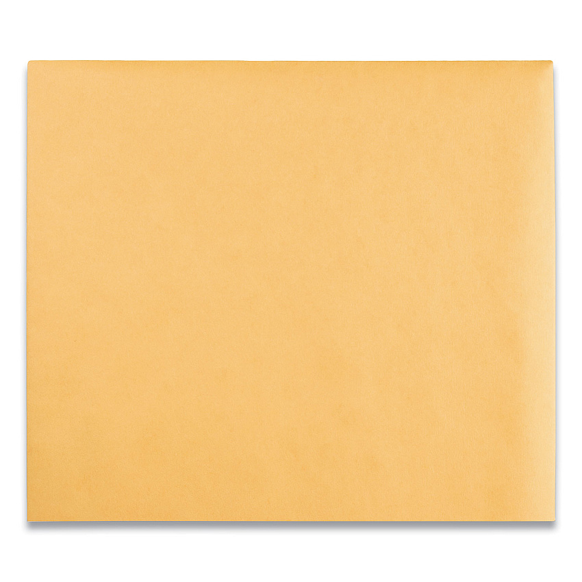 Quality Park Clasp Envelope, #95, Square Flap, Clasp/Gummed Closure, 10 x 12, Brown Kraft, 100/Box (37895)