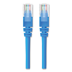 Belkin CAT6 UTP Computer Patch Cable, RJ45 Connectors, 2 ft, Blue (A3L98002BLUS)