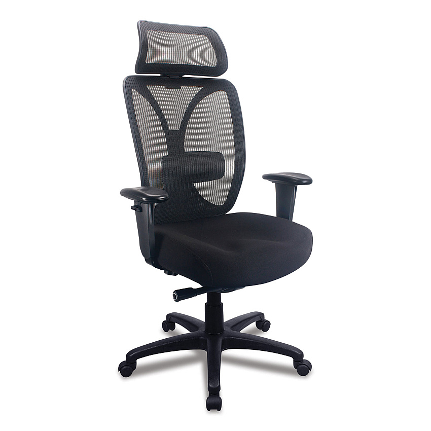 Tempur-Pedic by Raynor Computer and Desk Chair, Supports Up to 275 lb, Black (TP6450BLKMB)