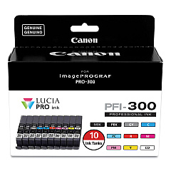 Canon PFI-300 10-Color Ink Value Pack (4192C007)