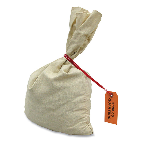 CONTROLTEK Canvas Coin Transit Bag, 12 x 19, Beige, 50/Carton (530000)