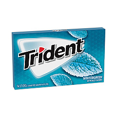 Trident Sugar-Free Gum, Wintergreen, 14 Sticks/Pack, 12 Pack/Box (30400058)