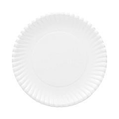 AJM Packaging Corporation Gold Label Coated Paper Plates, 9" dia, White, 120/Pack, 8 Packs/Carton (OH9AJBXWH)