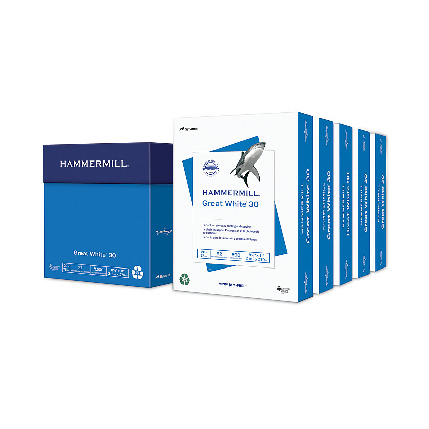 Hammermill Great White 30 Recycled Print Paper, 92 Bright, 20 lb Bond Weight, 8.5 x 11, White, 500 Sheets/Ream, 5 Reams/Carton (86710)
