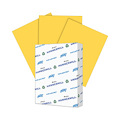 Hammermill 103168 Recycled Colored Paper