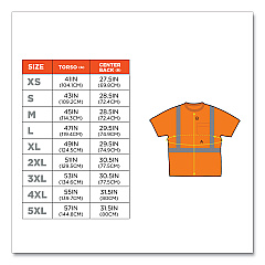 ergodyne GloWear 8289 Class 2 Hi-Vis T-Shirt, Polyester, Orange, 5X-Large (21519)