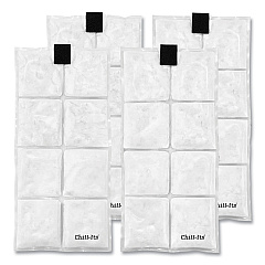 ergodyne Chill-Its 6250 Lightweight Phase Change Cooling Packs, 6 x 13, 4/Carton (12120)