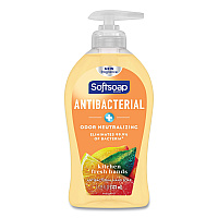 Softsoap Antibacterial Hand Soap, Citrus, 11.25 oz Pump Bottle, 6/Carton (45096)