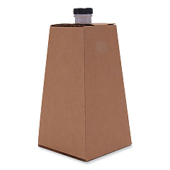SCT On-the-Go Carafe, 96 oz, Plain, 16/Carton (0193)