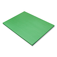 SunWorks Construction Paper, 58 lb Text Weight, 18 x 24, Holiday Green, 50/Pack (8017)
