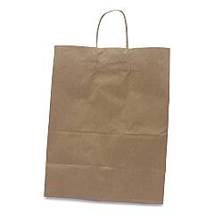 Kari-Out Kraft Paper Bags, 13" x 7" x 17", Kraft, 250/Carton (1200130)