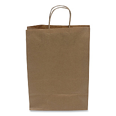 Kari-Out Kraft Paper Bags, 10" x 6" x 13", Kraft, 250/Carton (1200110)