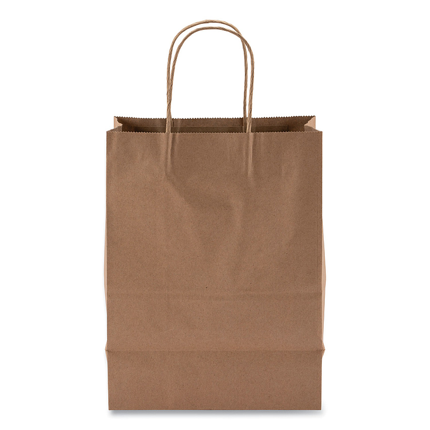 Kari-Out Kraft Paper Bags, 8" x 5" x 11", Kraft, 250/Carton (1200050)