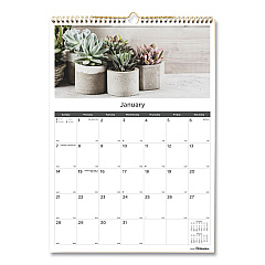 Blueline 12-Month Wall Calendar, Succulent Plants Photography, 12 x 17, White/Multicolor Sheets, 12-Month (Jan to Dec): 2023 (C173121)