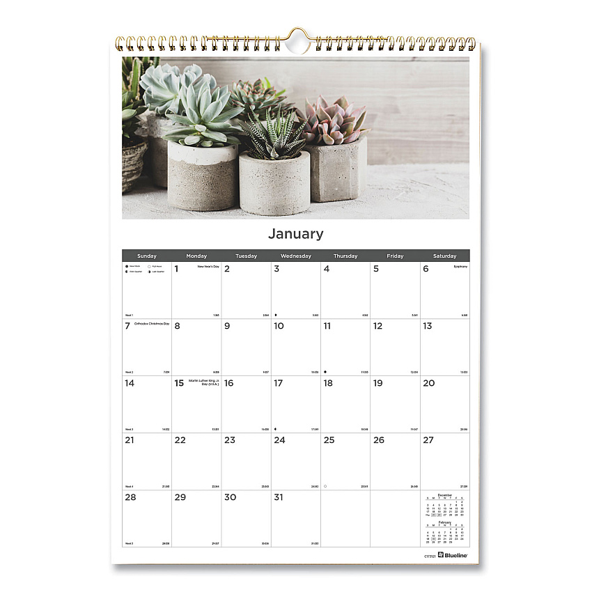 Blueline 12-Month Wall Calendar, Succulent Plants Photography, 12 x 17, White/Multicolor Sheets, 12-Month (Jan to Dec): 2023 (C173121)