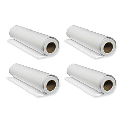 Epson SureLab Photo Paper Roll, 10 mil, 5 x 213, Glossy White, 4/Pack (S400117)