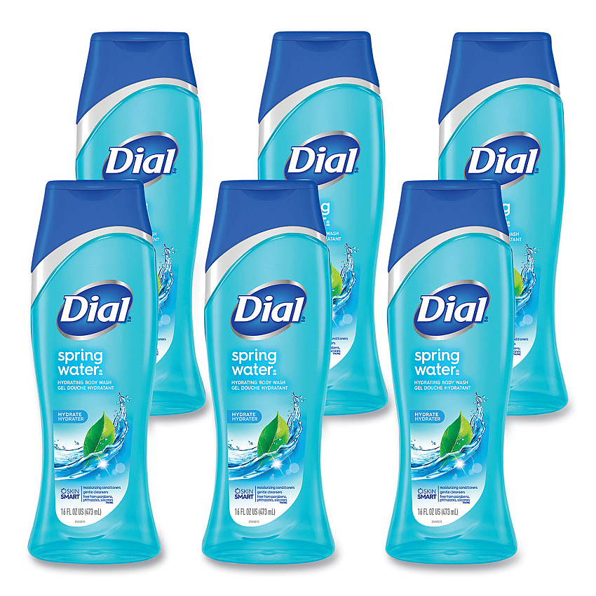 Dial Spring Water Body Wash, Spring Water Scent, 16 oz, 6/Carton (02653)