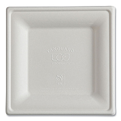 Eco-Products Vanguard Renewable and Compostable Sugarcane Plates, 6 x 6, White, 500/Carton (EPP021NFA)