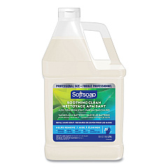 Softsoap Liquid Hand Soap Refill with Aloe, Aloe Vera Fresh Scent, 1 gal Refill Bottle (61036483EA)