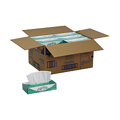 Georgia Pacific Professional Premium Facial Tissues, 2-Ply, White, 100 Sheets/Flat Box, 30 Boxes/Carton (48580CT)